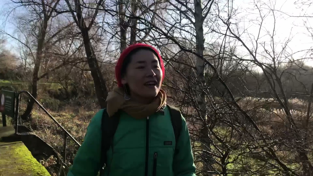 YouTube video player