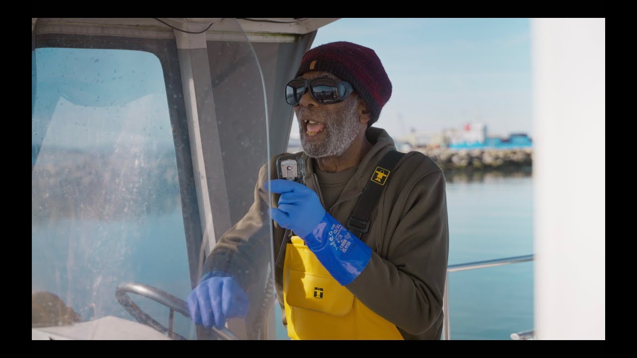 YouTube video player