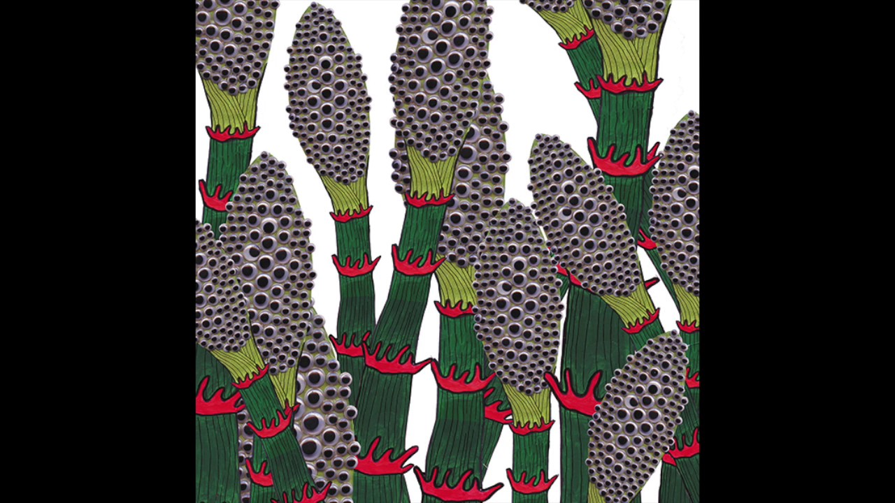 Part Chimp // Namekuji (Official Audio)