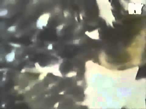 Spacemen 3   Hypnotized Full Version